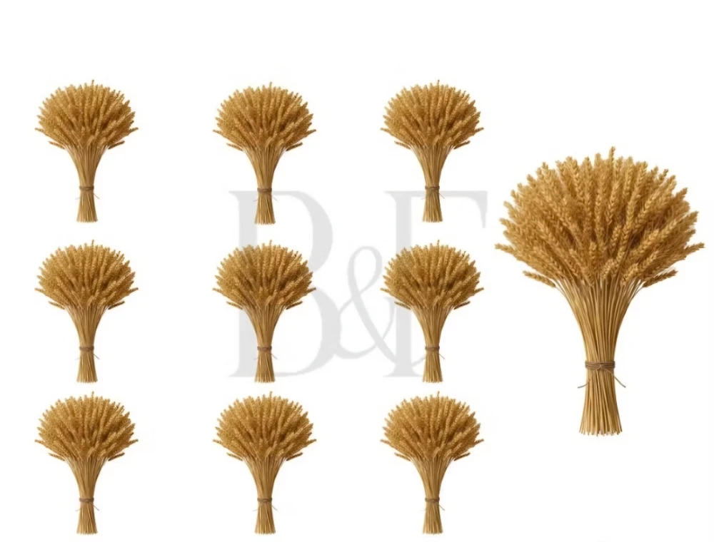 Astes de Trigo Natural
