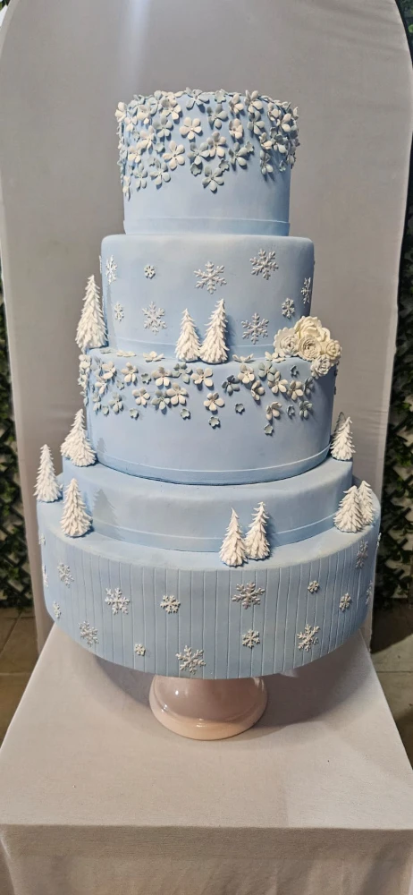 Bolo Frozen
